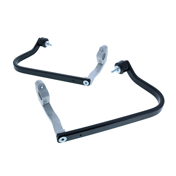 Daisy on the Ohoopee